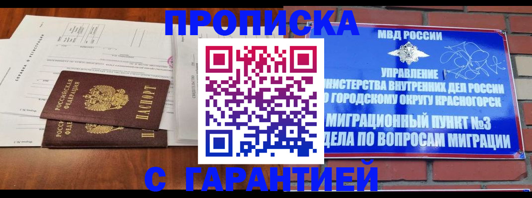 найти адрес прописки в Камышине